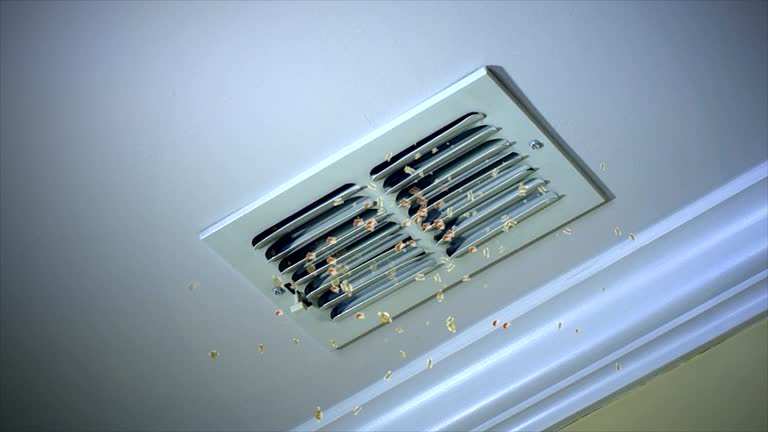 Ventilation Cleaning Services in Haleiwa, HI