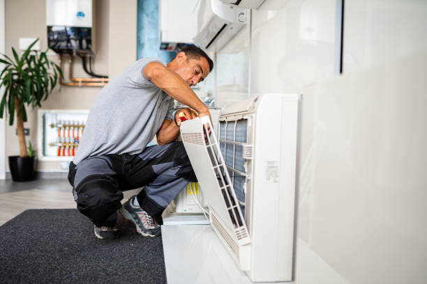 Best Home Air Vent Cleaning  in Haleiwa, HI