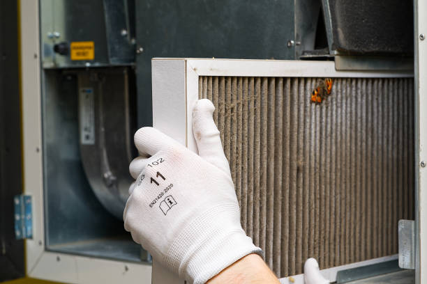 Best Air Quality Test  in Haleiwa, HI