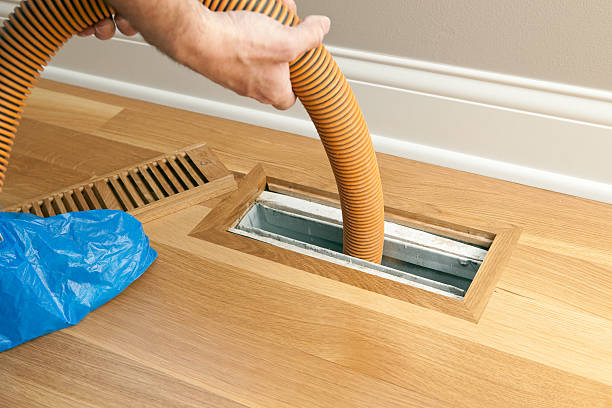 Best HVAC Duct Inspection Services  in Haleiwa, HI