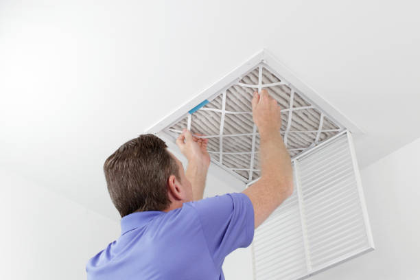 Best Ventilation Cleaning Services  in Haleiwa, HI